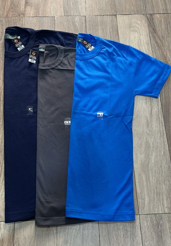 REMERA 100% ALGODON - Imagen 3