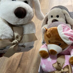 MANTA PARA CUNA + PELUCHE